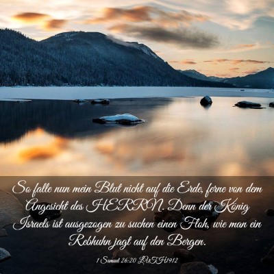 Picture 03 - 1 Samuel 26:20 LUTH1912 - So falle nun mein Blut nicht auf die Erde, ferne - Bible Verse Picture