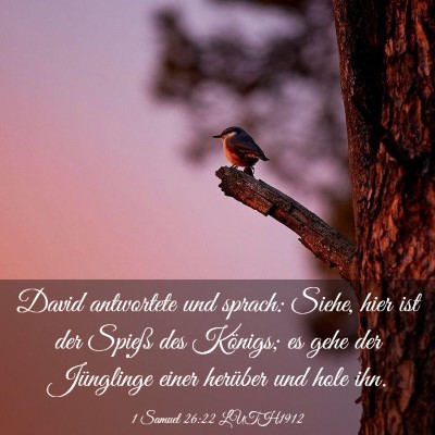 Picture 03 - 1 Samuel 26:22 LUTH1912 - David antwortete und sprach: Siehe, hier ist der - Bible Verse Picture
