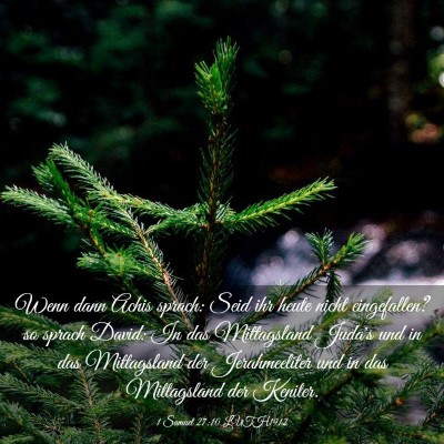 Picture 03 - 1 Samuel 27:10 LUTH1912 - Wenn dann Achis sprach: Seid ihr heute nicht - Bible Verse Picture