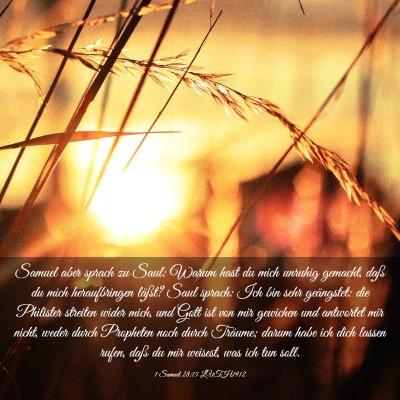 Picture 03 - 1 Samuel 28:15 LUTH1912 - Samuel aber sprach zu Saul: Warum hast du mich - Bible Verse Picture