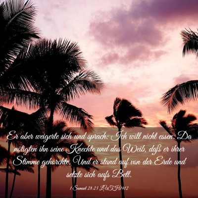 Picture 03 - 1 Samuel 28:23 LUTH1912 - Er aber weigerte sich und sprach: Ich will nicht - Bible Verse Picture