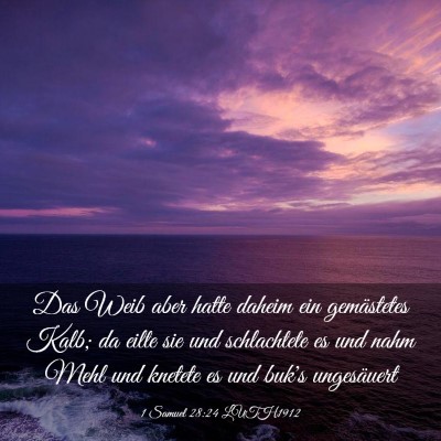 Picture 03 - 1 Samuel 28:24 LUTH1912 - Das Weib aber hatte daheim ein gemästetes Kalb; - Bible Verse Picture