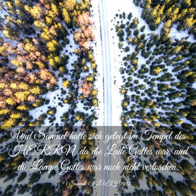 Picture 03 - 1 Samuel 3:3 LUTH1912 - Und Samuel hatte sich gelegt im Tempel des HERRN, - Bible Verse Picture