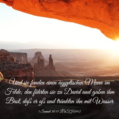 Picture 03 - 1 Samuel 30:11 LUTH1912 - Und sie fanden einen ägyptischen Mann im Felde; - Bible Verse Picture