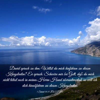 Picture 03 - 1 Samuel 30:15 LUTH1912 - David sprach zu ihm: Willst du mich hinführen zu - Bible Verse Picture