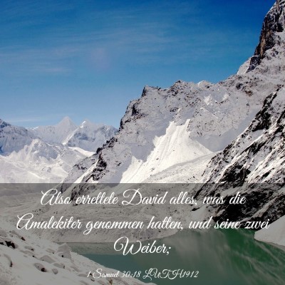 Picture 03 - 1 Samuel 30:18 LUTH1912 - Also errettete David alles, was die Amalekiter - Bible Verse Picture