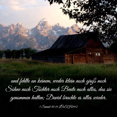 Picture 03 - 1 Samuel 30:19 LUTH1912 - und fehlte an keinem, weder klein noch groß noch - Bible Verse Picture