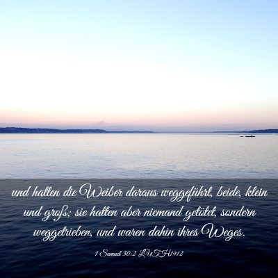 Picture 03 - 1 Samuel 30:2 LUTH1912 - und hatten die Weiber daraus weggeführt, beide, - Bible Verse Picture