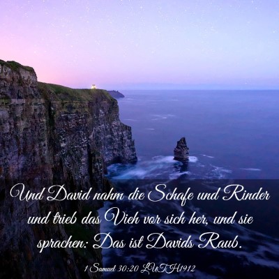 Picture 03 - 1 Samuel 30:20 LUTH1912 - Und David nahm die Schafe und Rinder und trieb - Bible Verse Picture