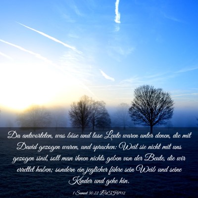 Picture 03 - 1 Samuel 30:22 LUTH1912 - Da antworteten, was böse und lose Leute waren - Bible Verse Picture