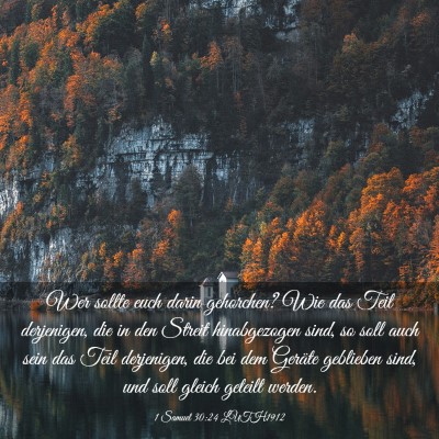Picture 03 - 1 Samuel 30:24 LUTH1912 - Wer sollte euch darin gehorchen? Wie das Teil - Bible Verse Picture