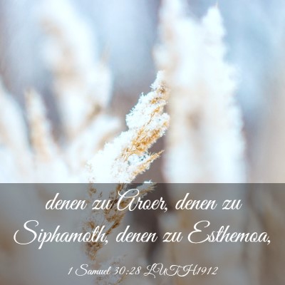 Picture 03 - 1 Samuel 30:28 LUTH1912 - denen zu Aroer, denen zu Siphamoth, denen zu - Bible Verse Picture