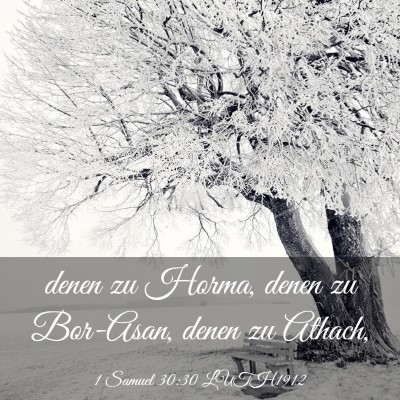 Picture 03 - 1 Samuel 30:30 LUTH1912 - denen zu Horma, denen zu Bor-Asan, denen zu - Bible Verse Picture