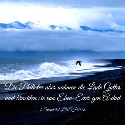Picture 03 - 1 Samuel 5:1 LUTH1912 - Die Philister aber nahmen die Lade Gottes und - Bible Verse Picture