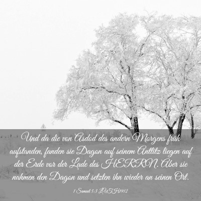 Picture 03 - 1 Samuel 5:3 LUTH1912 - Und da die von Asdod des andern Morgens früh - Bible Verse Picture