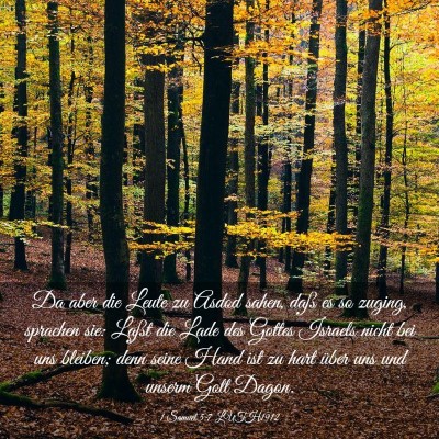 Picture 03 - 1 Samuel 5:7 LUTH1912 - Da aber die Leute zu Asdod sahen, daß es so - Bible Verse Picture