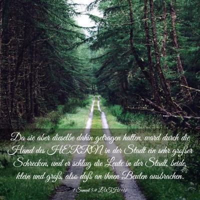 Picture 03 - 1 Samuel 5:9 LUTH1912 - Da sie aber dieselbe dahin getragen hatten, ward - Bible Verse Picture