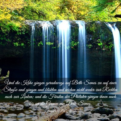 Picture 03 - 1 Samuel 6:12 LUTH1912 - Und die Kühe gingen geradewegs auf Beth-Semes zu - Bible Verse Picture
