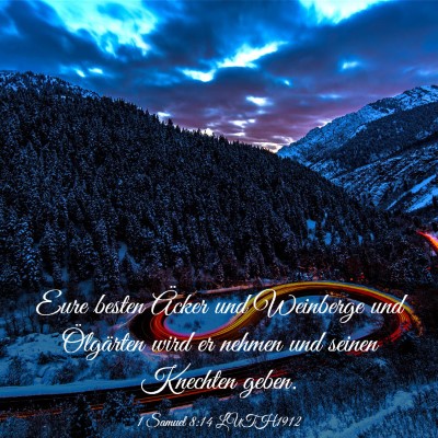 Picture 03 - 1 Samuel 8:14 LUTH1912 - Eure besten Äcker und Weinberge und Ölgärten - Bible Verse Picture