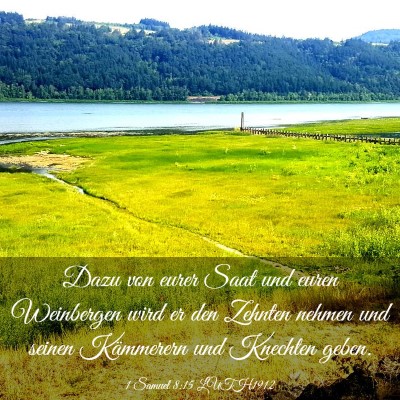 Picture 03 - 1 Samuel 8:15 LUTH1912 - Dazu von eurer Saat und euren Weinbergen wird er - Bible Verse Picture
