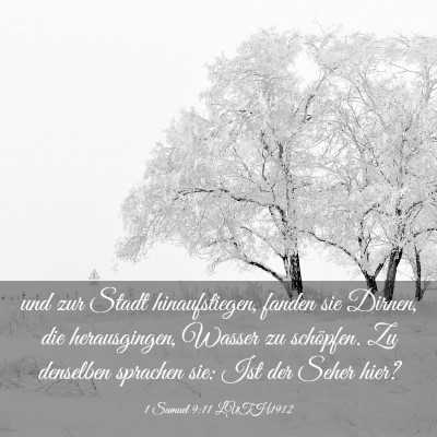 Picture 03 - 1 Samuel 9:11 LUTH1912 - und zur Stadt hinaufstiegen, fanden sie Dirnen, - Bible Verse Picture