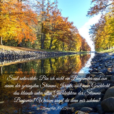 Picture 03 - 1 Samuel 9:21 LUTH1912 - Saul antwortete: Bin ich nicht ein Benjamiter und - Bible Verse Picture