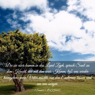 Picture 03 - 1 Samuel 9:5 LUTH1912 - Da sie aber kamen in das Land Zuph, sprach Saul - Bible Verse Picture