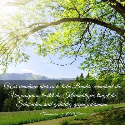 Picture 03 - 1 Thessalonicher 5:14 LUTH1912 - Wir ermahnen aber euch, liebe Brüder, vermahnet - Bible Verse Picture