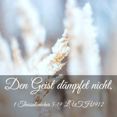 Picture 03 - 1 Thessalonicher 5:19 LUTH1912 - Den Geist dämpfet - Bible Verse Picture