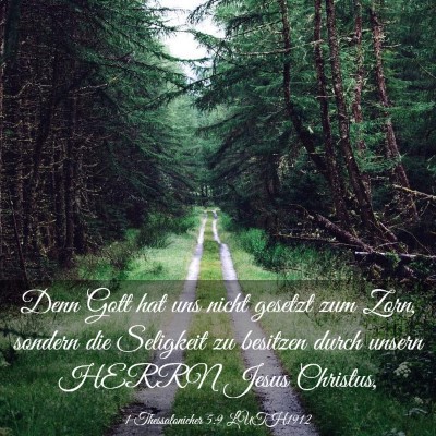Picture 03 - 1 Thessalonicher 5:9 LUTH1912 - Denn Gott hat uns nicht gesetzt zum Zorn, sondern - Bible Verse Picture