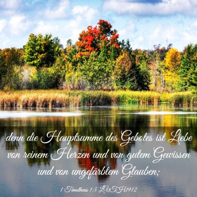 Picture 03 - 1 Timotheus 1:5 LUTH1912 - denn die Hauptsumme des Gebotes ist Liebe von - Bible Verse Picture