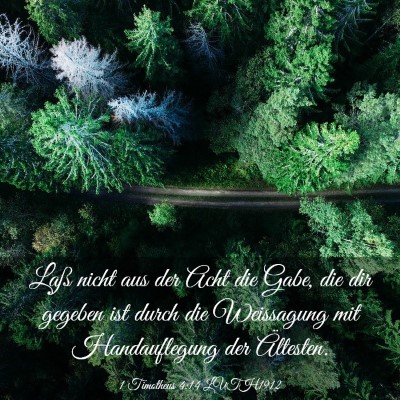 Picture 03 - 1 Timotheus 4:14 LUTH1912 - Laß nicht aus der Acht die Gabe, die dir gegeben - Bible Verse Picture