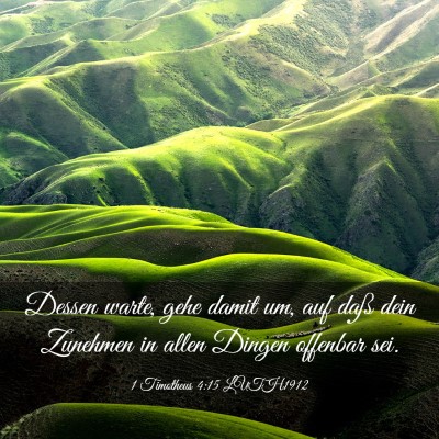 Picture 03 - 1 Timotheus 4:15 LUTH1912 - Dessen warte, gehe damit um, auf daß dein - Bible Verse Picture