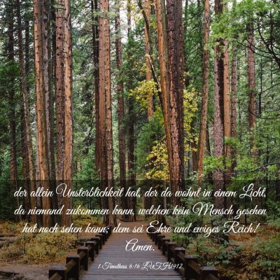 Picture 03 - 1 Timotheus 6:16 LUTH1912 - der allein Unsterblichkeit hat, der da wohnt in - Bible Verse Picture