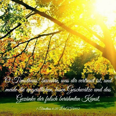 Picture 03 - 1 Timotheus 6:20 LUTH1912 - O Timotheus! bewahre, was dir vertraut ist, und - Bible Verse Picture