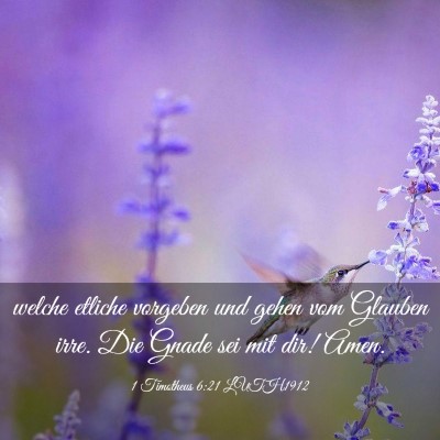 Picture 03 - 1 Timotheus 6:21 LUTH1912 - welche etliche vorgeben und gehen vom Glauben - Bible Verse Picture