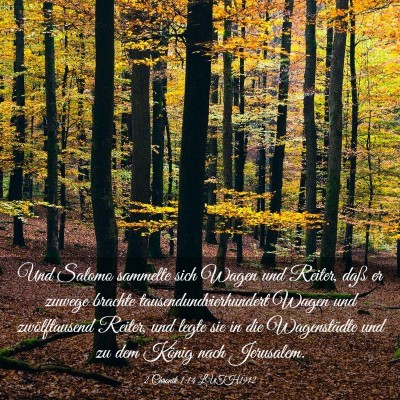 Picture 03 - 2 Chronik 1:14 LUTH1912 - Und Salomo sammelte sich Wagen und Reiter, daß - Bible Verse Picture