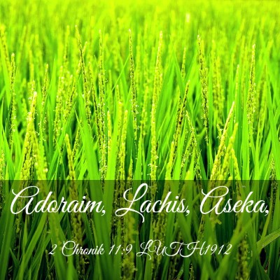 Picture 03 - 2 Chronik 11:9 LUTH1912 - Adoraim, Lachis, - Bible Verse Picture
