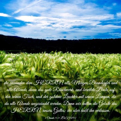 Picture 03 - 2 Chronik 13:11 LUTH1912 - die anzünden dem HERRN alle Morgen Brandopfer - Bible Verse Picture