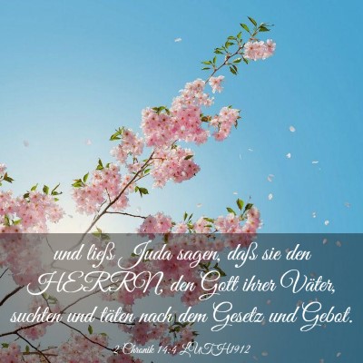 Picture 03 - 2 Chronik 14:4 LUTH1912 - und ließ Juda sagen, daß sie den HERRN, den - Bible Verse Picture