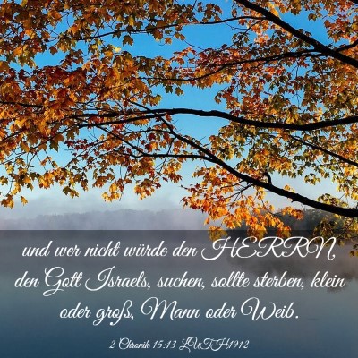 Picture 03 - 2 Chronik 15:13 LUTH1912 - und wer nicht würde den HERRN, den Gott Israels, - Bible Verse Picture