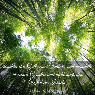 Picture 03 - 2 Chronik 17:4 LUTH1912 - sondern den Gott seines Vaters, und wandelte in - Bible Verse Picture