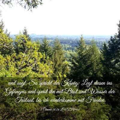 Picture 03 - 2 Chronik 18:26 LUTH1912 - und sagt: So spricht der König: Legt diesen ins - Bible Verse Picture