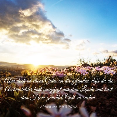 Picture 03 - 2 Chronik 19:3 LUTH1912 - Aber doch ist etwas Gutes an dir gefunden, daß - Bible Verse Picture