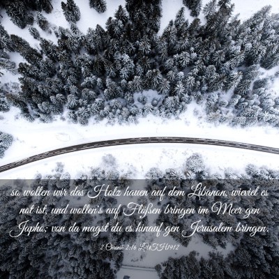 Picture 03 - 2 Chronik 2:16 LUTH1912 - so wollen wir das Holz hauen auf dem Libanon, - Bible Verse Picture