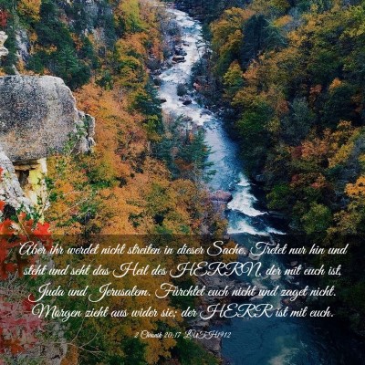 Picture 03 - 2 Chronik 20:17 LUTH1912 - Aber ihr werdet nicht streiten in dieser Sache. - Bible Verse Picture