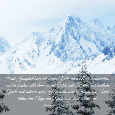 Picture 03 - 2 Chronik 20:25 LUTH1912 - Und Josaphat kam mit seinem Volk, ihren Raub - Bible Verse Picture