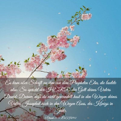 Picture 03 - 2 Chronik 21:12 LUTH1912 - Es kam aber Schrift zu ihm von dem Propheten - Bible Verse Picture