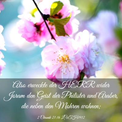 Picture 03 - 2 Chronik 21:16 LUTH1912 - Also erweckte der HERR wider Joram den Geist der - Bible Verse Picture