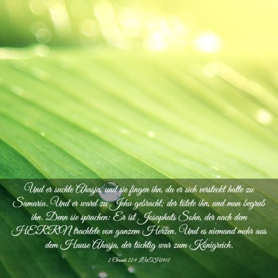 Picture 03 - 2 Chronik 22:9 LUTH1912 - Und er suchte Ahasja, und sie fingen ihn, da er - Bible Verse Picture